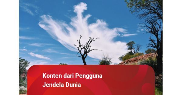 Rahasia Rasa di Balik Jalan Badranaya: Cafe Junior yang Menggoda Lidah